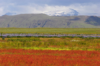 Pola pod wulkanem Hekla